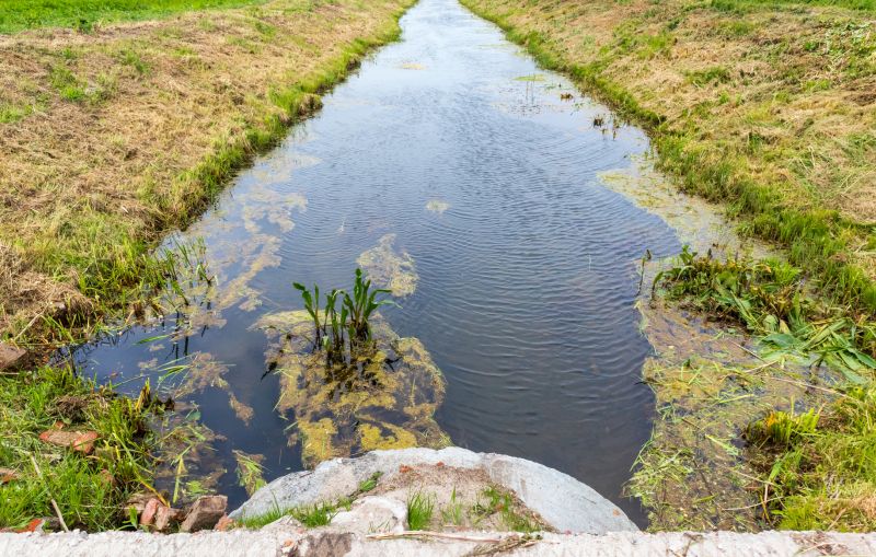 Property Water Drainage